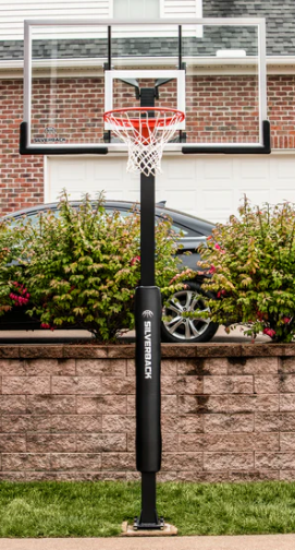 Silverback basketball hoop in the wild